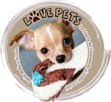accettiamo animali - love pets